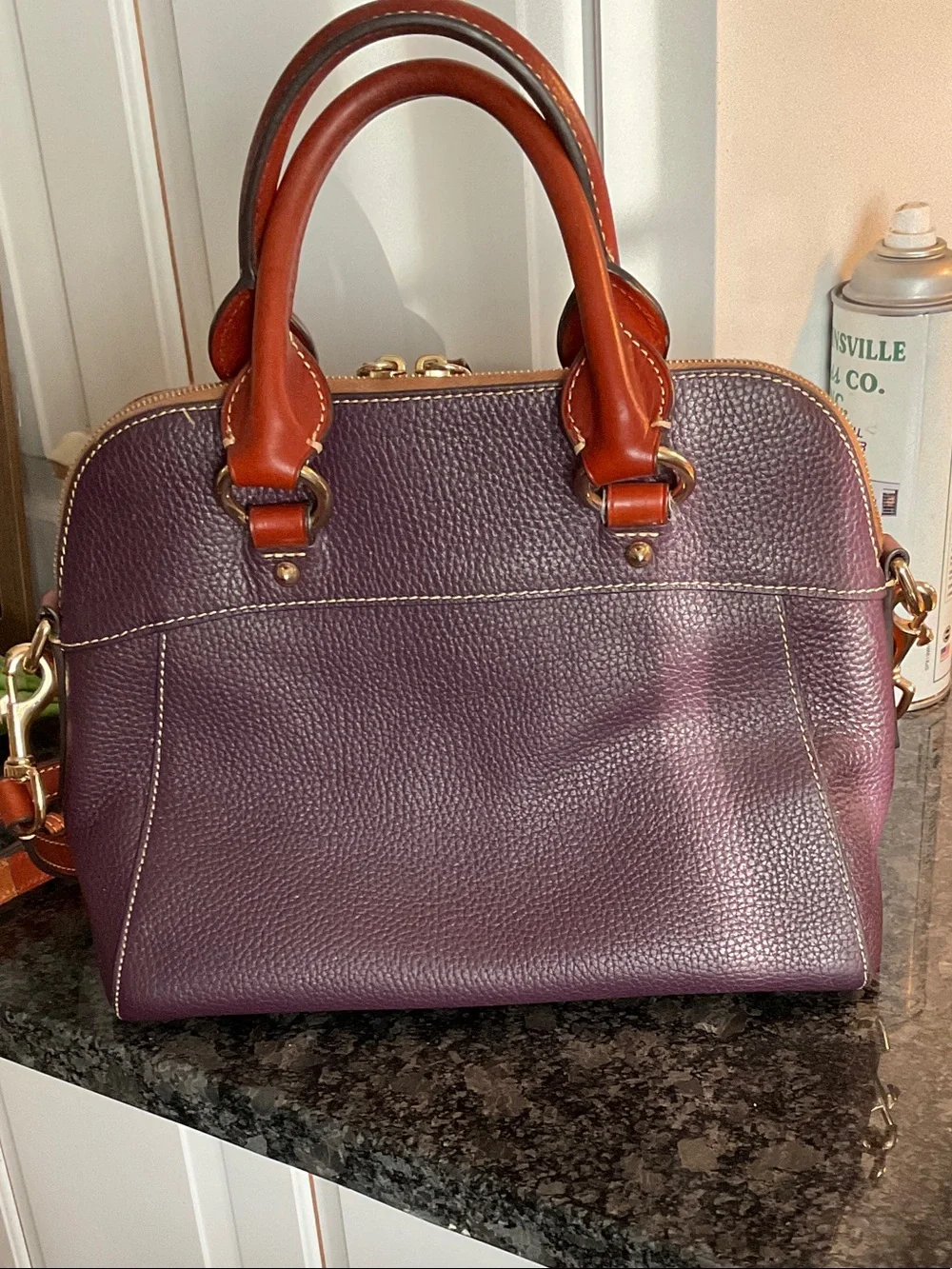Dooney & Bourke Plum Leather Satchel with Brown Trim and Gold Hardware